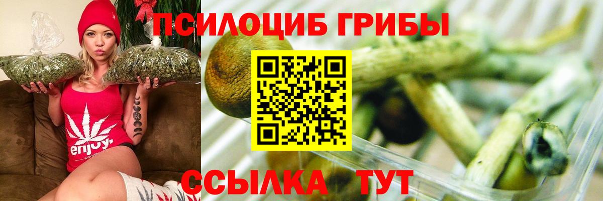 Галлюциногенные грибы Cubensis Кумертау